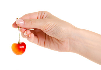 Cherries in hand on a white background isolation