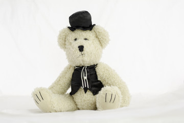 Teddy Bear wears a suit on white background.