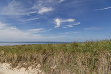 View to Grass Dunes at Wenningstedt with beautiful Sky at Sylt / Germany