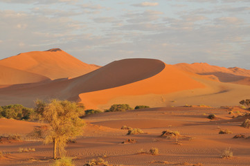 Düne beim Sonnenaufgang in rotem Licht und Schatten