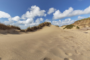 Some Footprints in the fine sand on the Red Cliff at Sylt / Germany