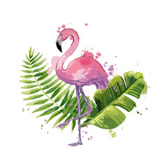 Vector pink flamingo with exotic tropical leaves isolated on a white background.