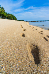 Close up of footprints on the beach with golden sand.
