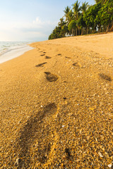 Close up of footprints on the beach with golden sand.