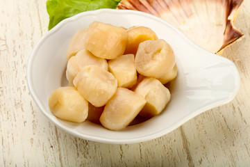 Raw scallops heap