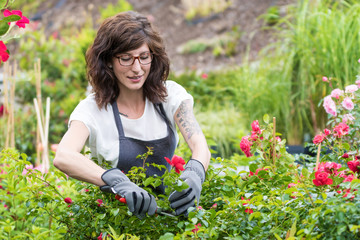 Gärtnerin beim schneiden von Rosen im Gartencenter