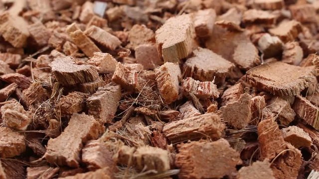 coconut shell rotation