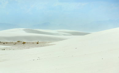 Fototapeta na wymiar White sand dune in the desert of southern New Mexico