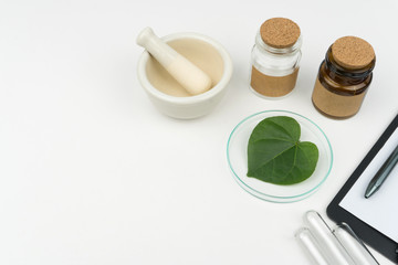 herbal medicine research concept. an organic green leaf in watch glass with a mortar and pestle, two bottles and three test tubes on the white table in laboratory.