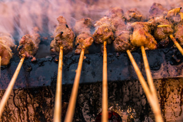 Satay (Traditional Malaysian Food)