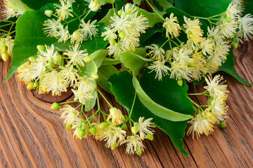 Fototapeta premium Linden flowers on a old wooden background.