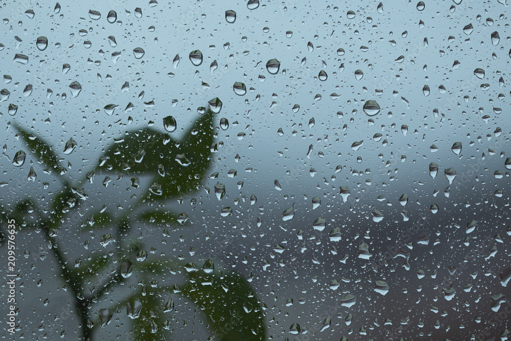 Wall mural rain drops on window 