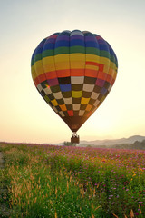 Fototapeta premium balloon and flower