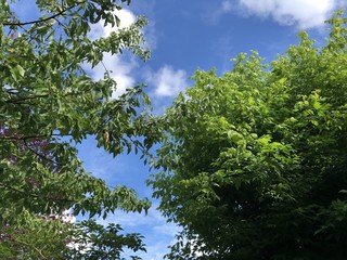 Ciel bleu 