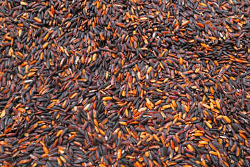 Organic rice. Good nutrition is beneficial to health.
