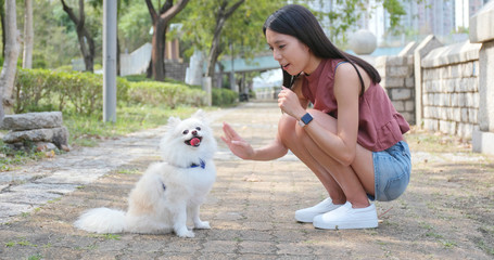 Woman play with her dog at outdoor