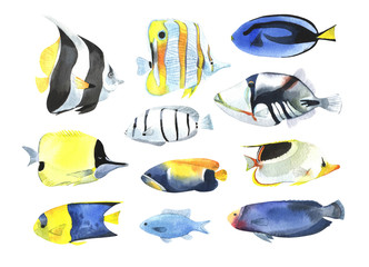 A set of tropical fish, in a watercolor style. - 209579256