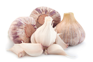 Young big garlic on white