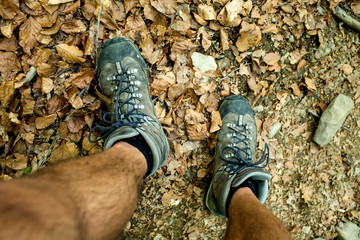 Mens trekking shoes while hiking in forest