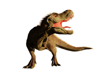 Tyrannosaurus rex roaring,  T rex dinosaur (3d rendering isolated on white background)