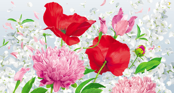 Red, pink and white spring and summer flowers vector background