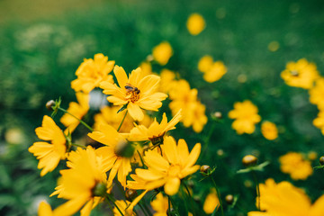 Botanischer-Garten-Uni-Greifswald-Juni-2018