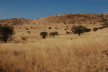 Ethiopie - Arba Minch