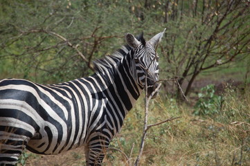 Ethiopie - Arba Minch