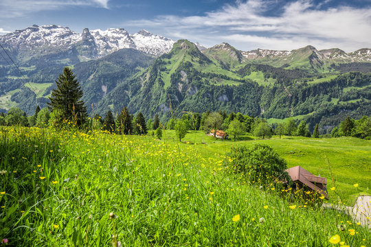 Stunning landscape panorama of Swiss Alps, Fronalpstock, Klingenstock and Chaiserstock near Illgau. Illgau is a village in Schwyz District in the canton of Schwyz in Switzerland, Europe