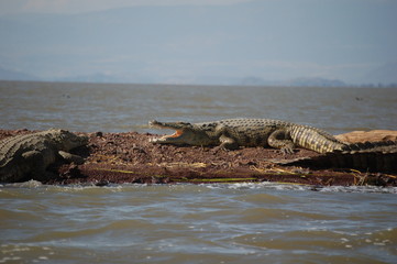 Ethiopie - Arba Minch