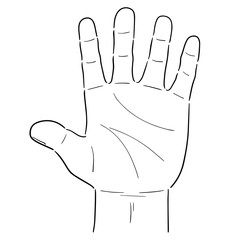 vector of cartoon hand