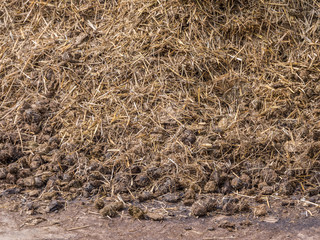 Misthaufen auf einem Bauernhof
