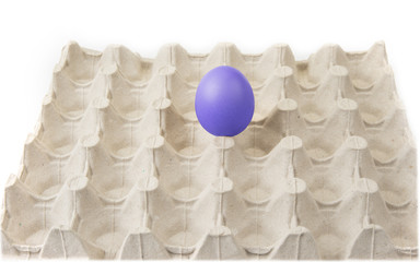Single egg in the container. Stand out concept