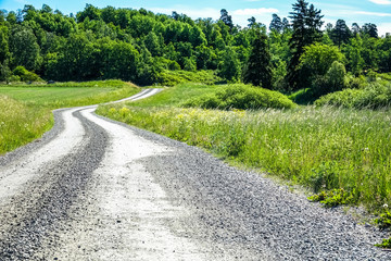 Curvy dirt road in the countryside cutting through a beautiful green meadow with tall grass and wildflowers. Forest and blue sky in background. Sweden, Scandinavia.