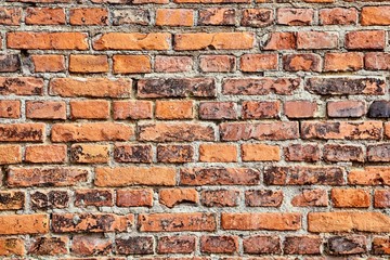 Brick Wall Closeup