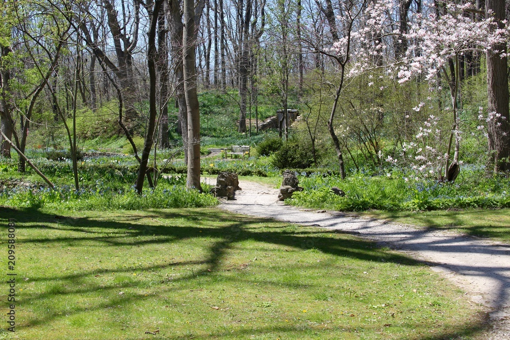 Wall mural The winding path over the stone bridge in the garden.