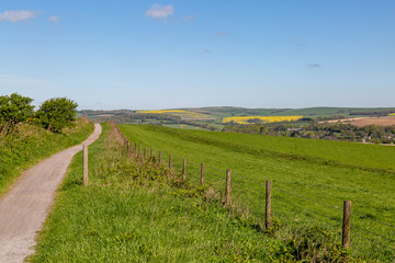 A pathway along green fields in the South Downs, Sussex