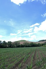 Fototapeta na wymiar Italy,countryside,crop,field,landscape,view,hill,sky,clods,blue,panorama