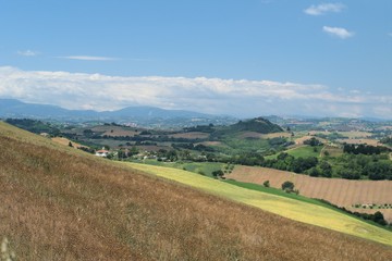 Fototapeta na wymiar central of Italy,hills,crops,landscape,agriculture,panorama,view,sky,green,cereals