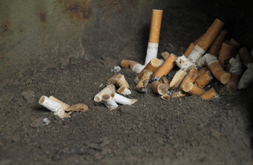 Cigarette butts in an ashtray