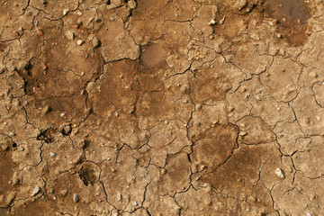Closeup of dry cracked soil