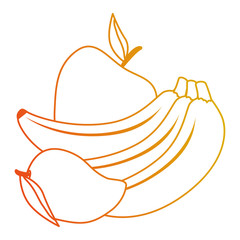 fresh fruits set menu vector illustration design