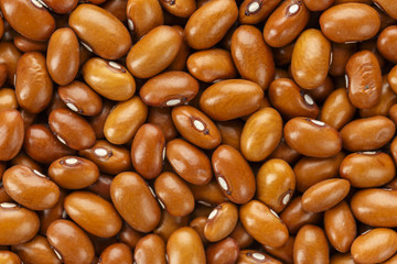a lot of raw beans close-up