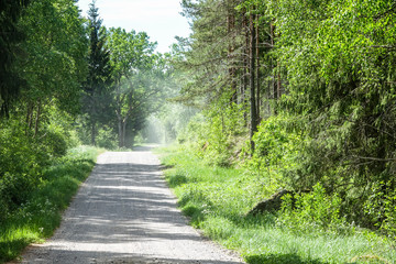 Obraz premium Dusty gravel / dirt road in the woods. Sweden
