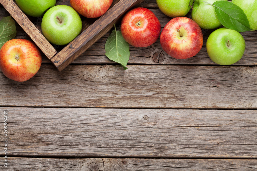 Wall mural Green and red apples