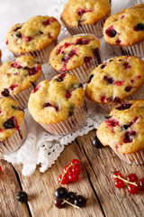 berry muffin with black and red currant close-up. vertical