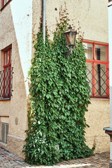 Corner of the retro European house on the street with paving stones.