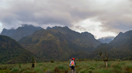Hikers in the lower bigo bog in the Rwenzori Mountains, Uganda