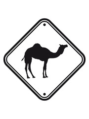 schild warnung gefahr achtung vorsicht hinweis kamel silhouette umriss schwarz dromedar höcker wüste zoo