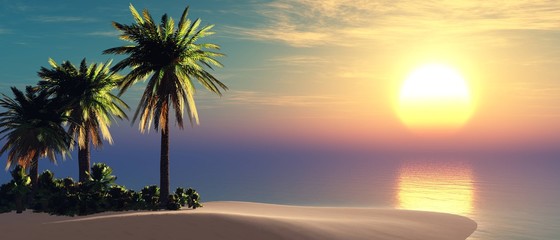 Obraz premium island with palm trees in the ocean, tropical beach, 3D rendering 